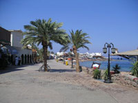 Dahab